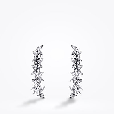 1.91 Karat Pırlanta Küpe - Baroni Diamond (1)
