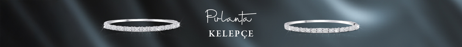1600x165_Pirlanta_Kelepce.jpg (103 KB)