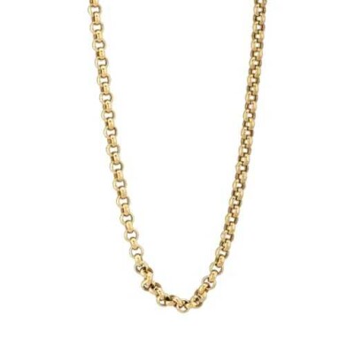 Altın Burgu Zincir - 2