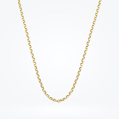 Altın Erkek Zincir - Baroni Diamond (1)