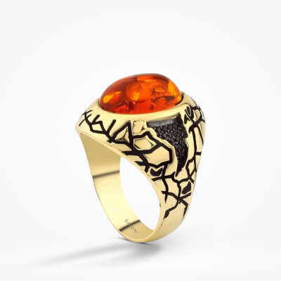 Altın Erkek Renkli Taşlı Yüzük - 2