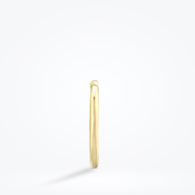 Altın Kalp Kıkırdak Küpe - Baroni Diamond (1)