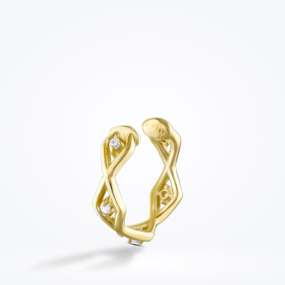 Altın Kıkırdak Küpe - Baroni Diamond (1)