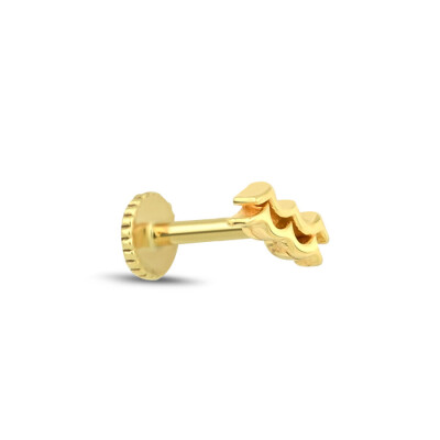 Altın Kova Burç Tragus Küpe - Baroni Diamond (1)