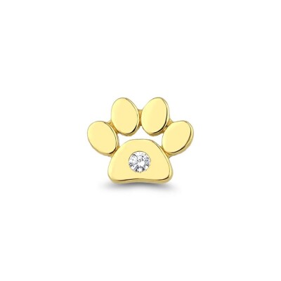 Altın Pati Tragus Küpe - 1